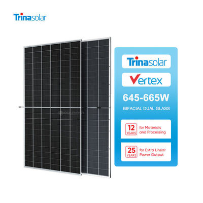 700W Tsm-Neg21C.20 Bificial Modulo de vidrio doble PV paneles solares para el sistema de energía solar